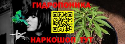 шишки Абинск