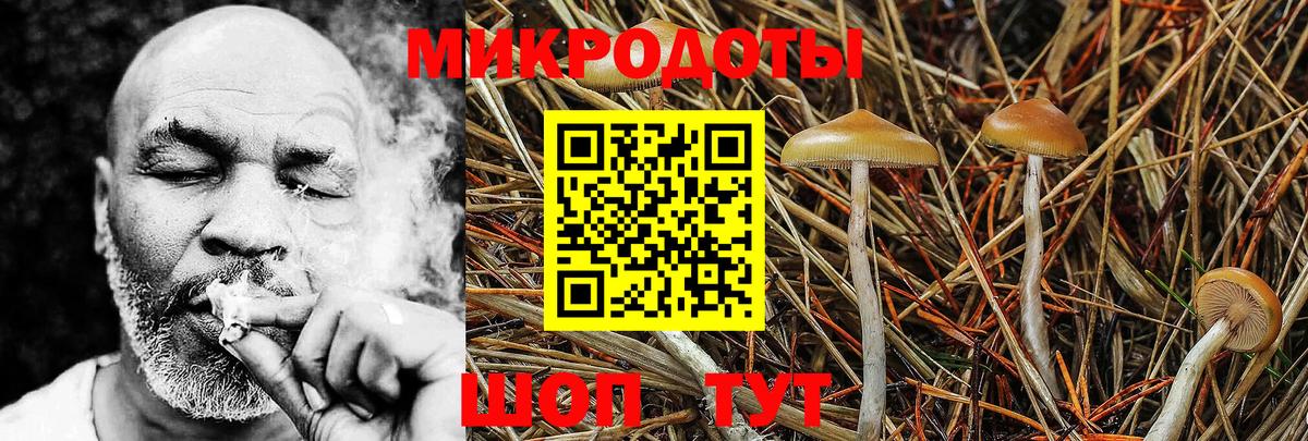 Галлюциногенные грибы ЛСД Ахтубинск