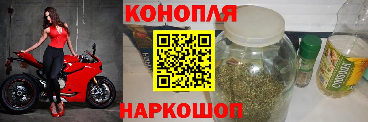 Бошки Шишки план Ахтубинск